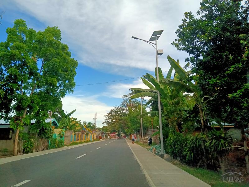 Lot for sale in Catmon - image 7