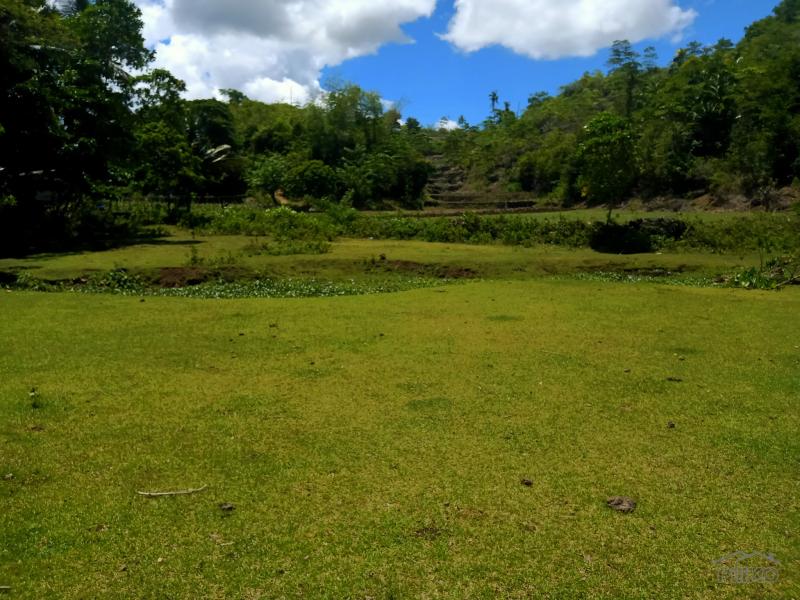 Picture of Land and Farm for sale in Borbon in Philippines