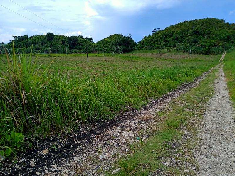 Picture of Land and Farm for sale in Tabogon