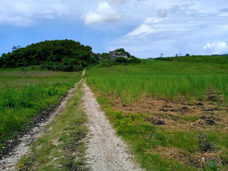 Land and Farm for sale in Tabogon in Cebu