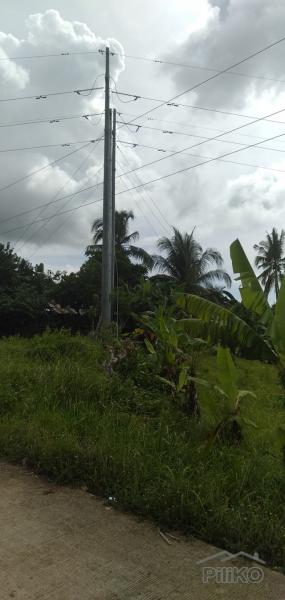 Land and Farm for sale in Tabogon - image 5