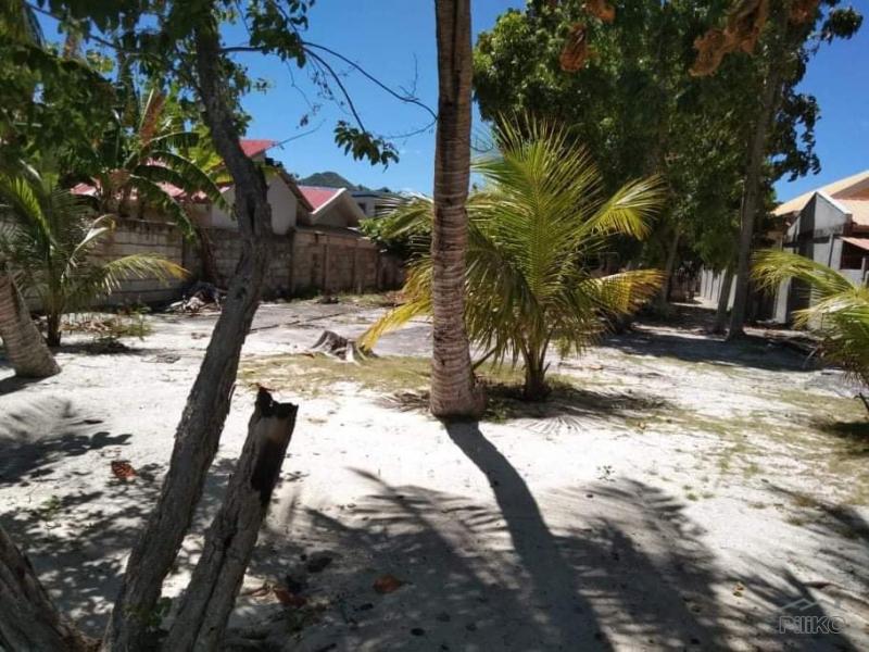 Other property for sale in Anda - image 3