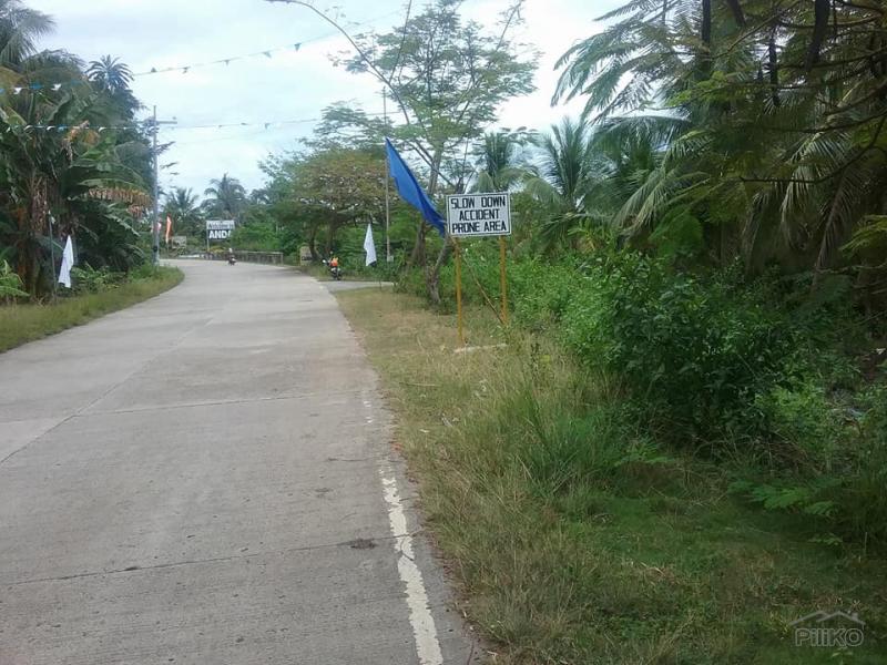 Picture of Residential Lot for sale in Guindulman