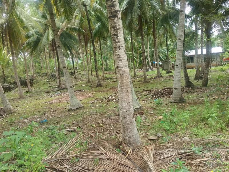 Residential Lot for sale in Guindulman in Bohol
