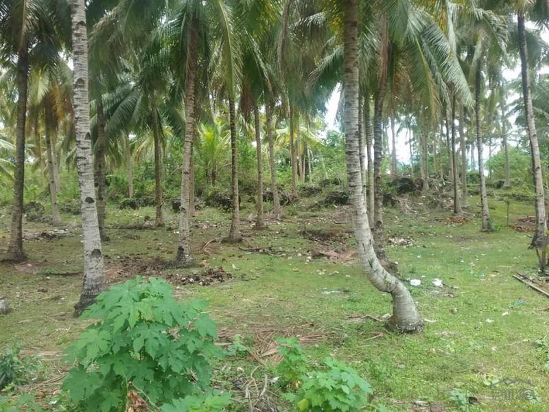 Residential Lot for sale in Guindulman in Philippines