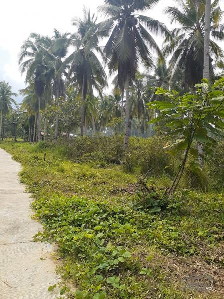 Pictures of Residential Lot for sale in Trinidad