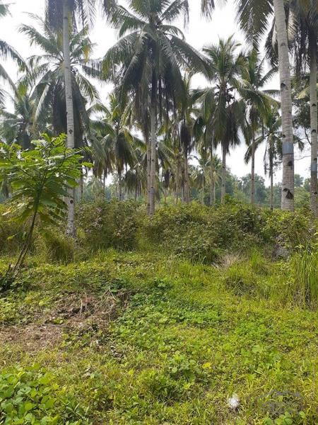 Residential Lot for sale in Trinidad - image 2