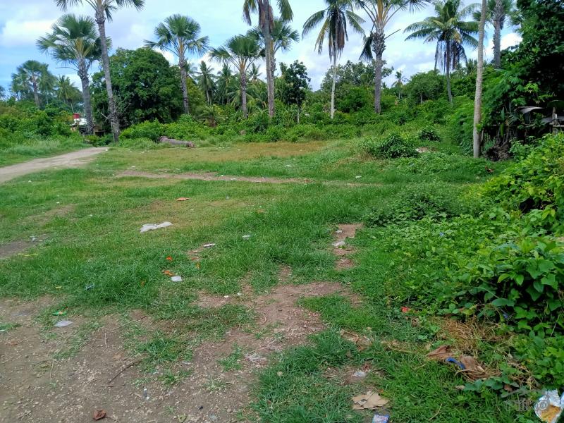 Pictures of Residential Lot for sale in Liloan