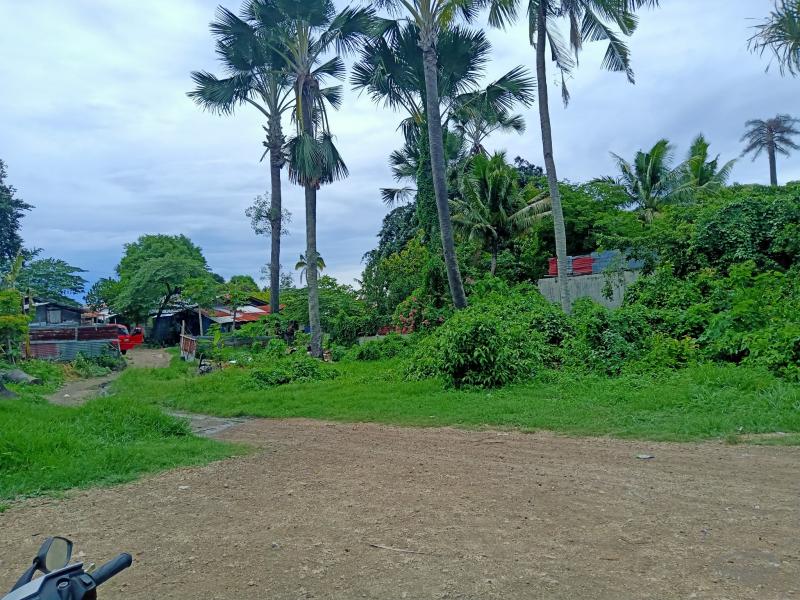 Residential Lot for sale in Liloan - image 2