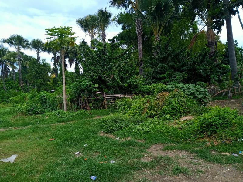 Residential Lot for sale in Liloan - image 3