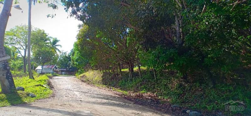 Picture of Agricultural Lot for sale in Guindulman