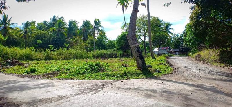 Agricultural Lot for sale in Guindulman