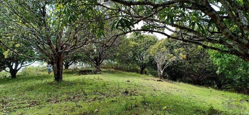 Picture of Agricultural Lot for sale in Guindulman in Bohol