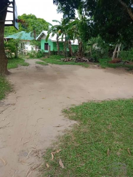 Residential Lot for sale in Talibon