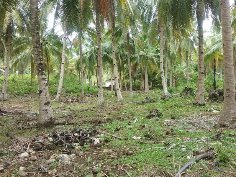 Agricultural Lot for sale in Guindulman