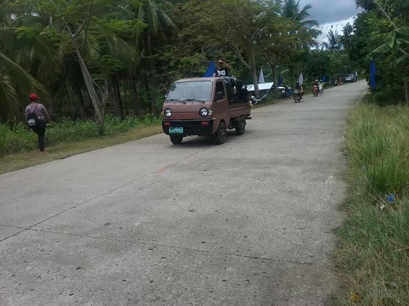 Agricultural Lot for sale in Guindulman in Philippines