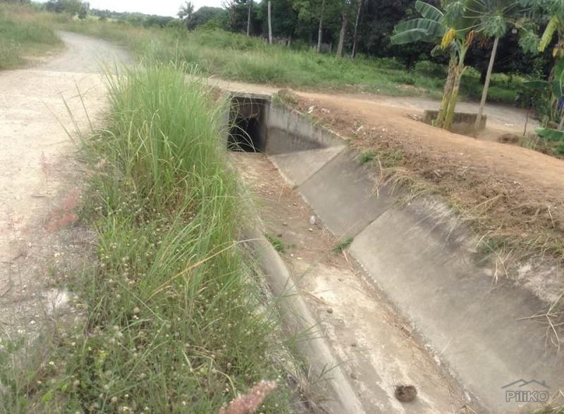 Land and Farm for sale in Ubay - image 7