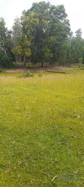 Agricultural Lot for sale in Trinidad - image 2