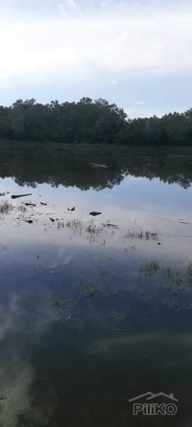 Pictures of Land and Farm for sale in Trinidad