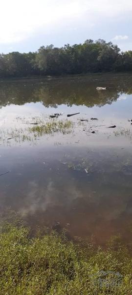 Land and Farm for sale in Trinidad