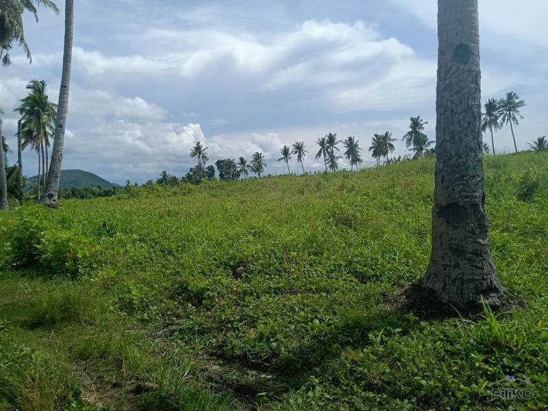 Land and Farm for sale in Bogo in Cebu