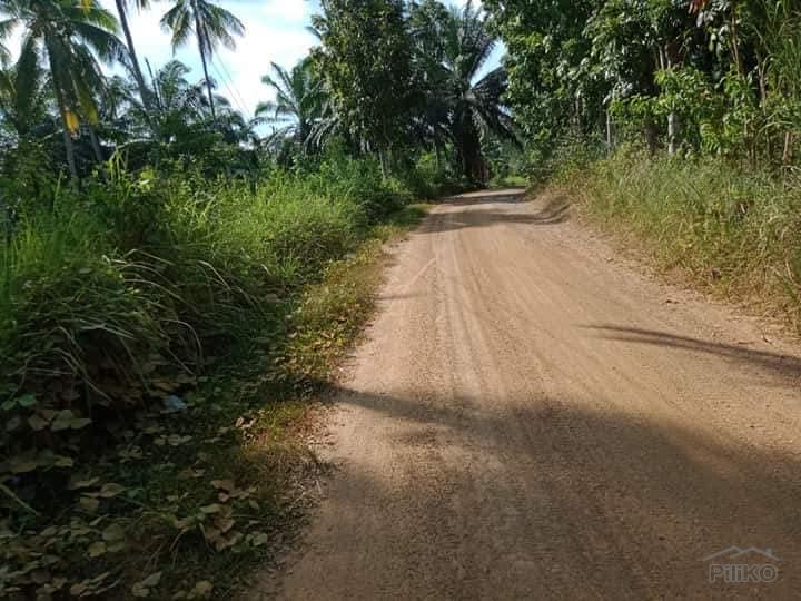 Agricultural Lot for sale in Ubay in Philippines