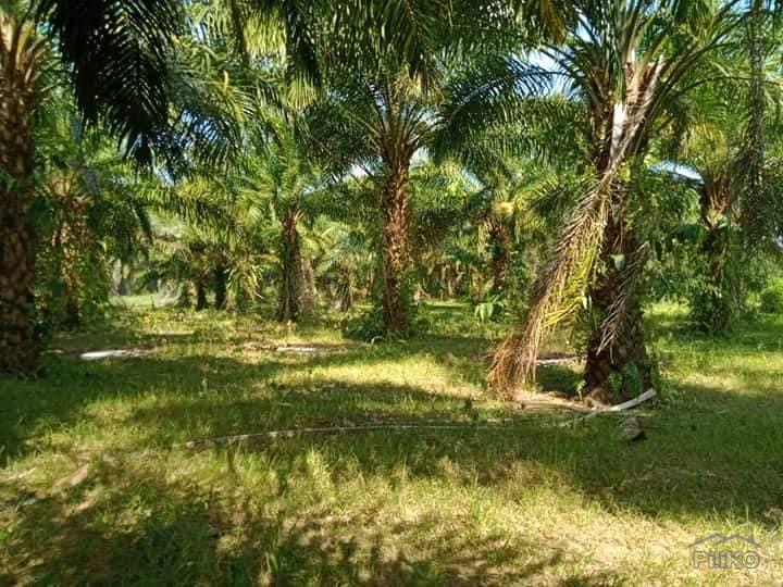 Picture of Agricultural Lot for sale in Ubay in Bohol