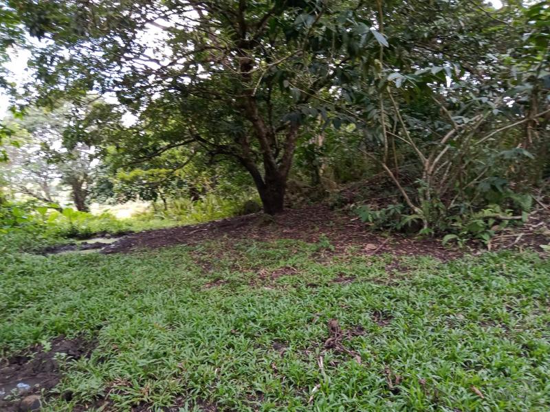 Land and Farm for sale in Carmen