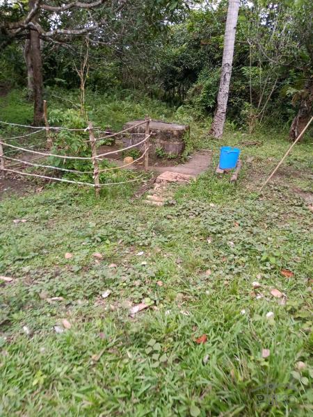 Land and Farm for sale in Carmen in Bohol