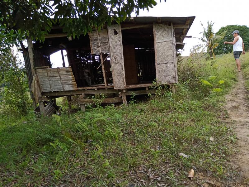 Land and Farm for sale in Carmen in Philippines