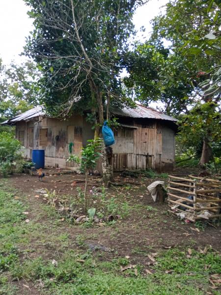 Picture of Land and Farm for sale in Carmen in Bohol