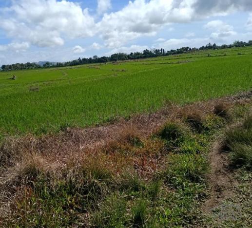 Land and Farm for sale in Pilar