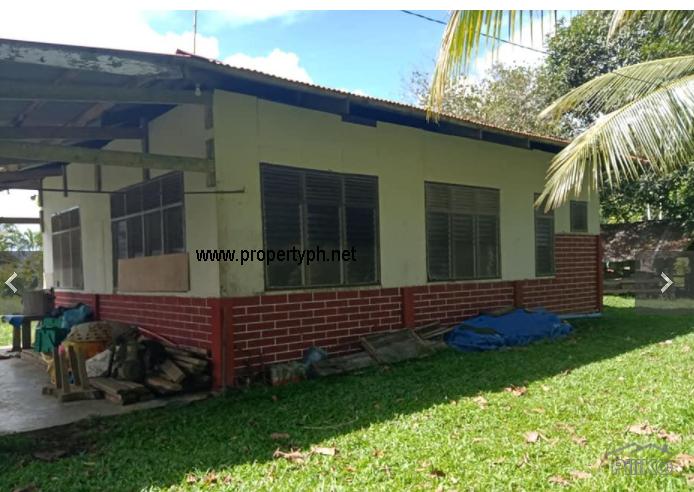Picture of Land and Farm for sale in Pilar in Philippines
