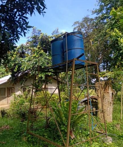 Land and Farm for sale in Pilar in Bohol - image