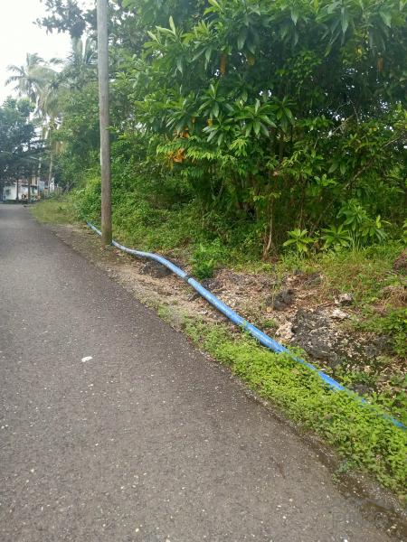 Land and Farm for sale in Sogod in Cebu