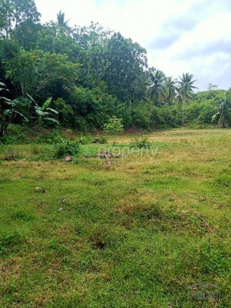 Picture of Land and Farm for sale in Sogod