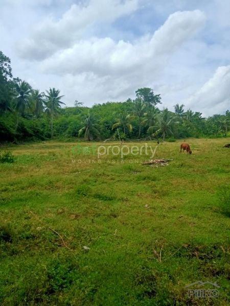 Land and Farm for sale in Sogod