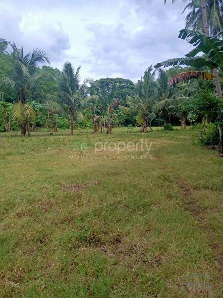 Land and Farm for sale in Sogod in Cebu