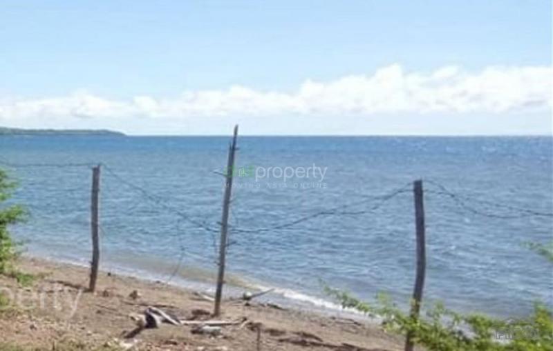 Land and Farm for sale in Sogod in Philippines