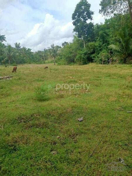 Picture of Land and Farm for sale in Sogod in Cebu