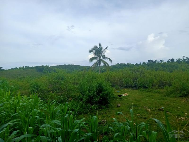 Land and Farm for sale in Sogod