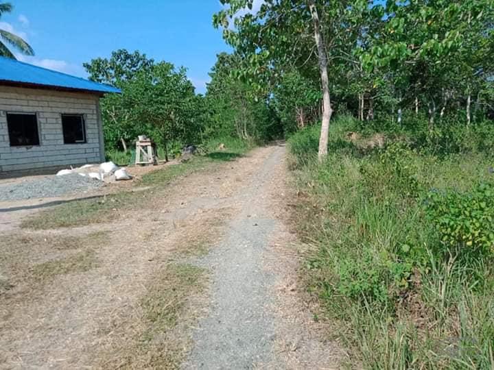 Agricultural Lot for sale in Ubay - image 2