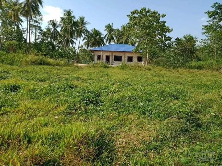 Agricultural Lot for sale in Ubay in Bohol