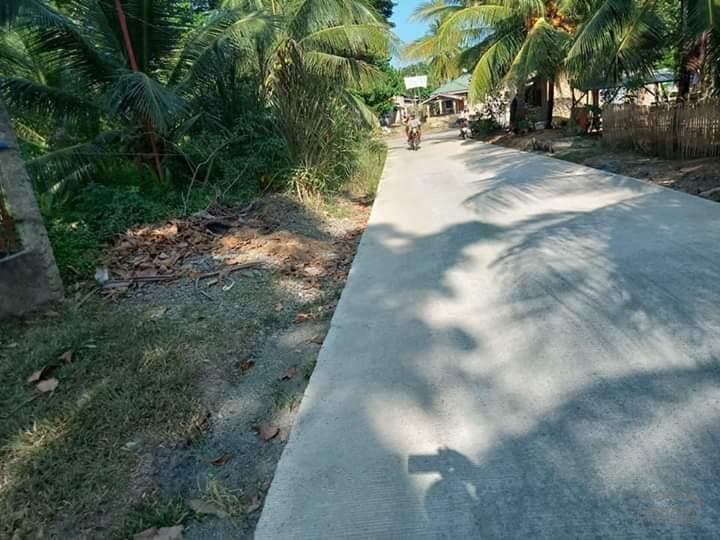 Agricultural Lot for sale in Ubay - image 4