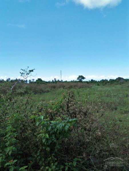 Agricultural Lot for sale in San Francisco in Philippines
