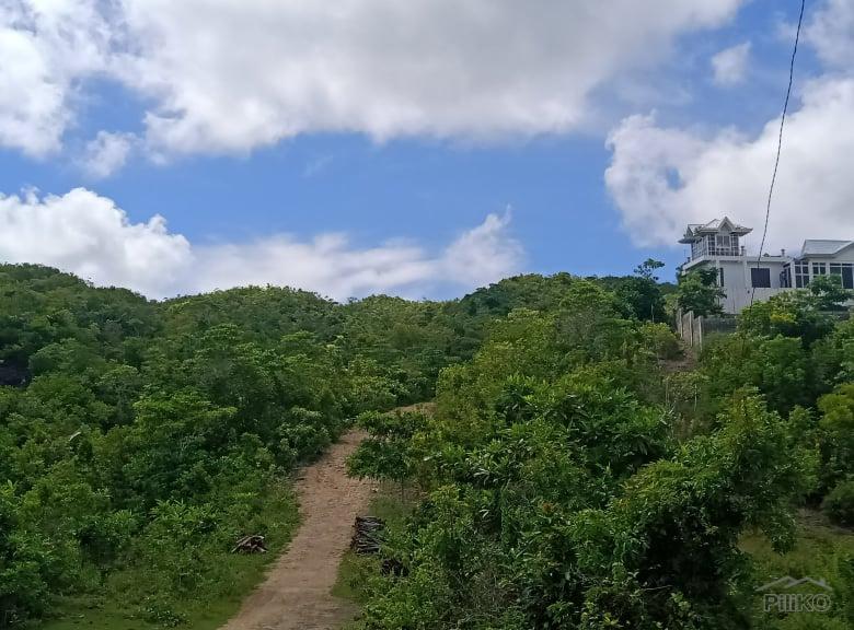 Agricultural Lot for sale in Madridejos - image 2