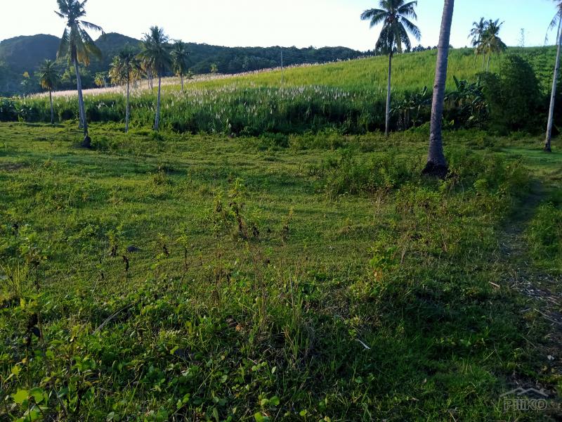 Picture of Agricultural Lot for sale in Tabogon in Philippines