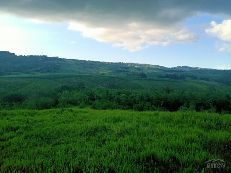 Pictures of Agricultural Lot for sale in Tabogon