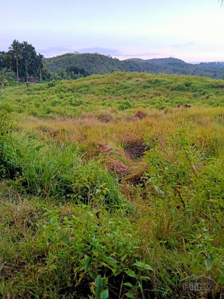 Picture of Agricultural Lot for sale in Tabogon in Cebu
