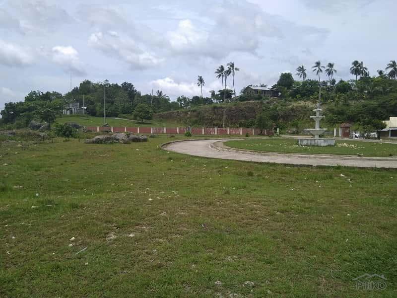 Residential Lot for sale in Talisay - image 2